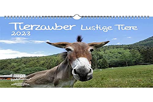 Tierzauber lustige Tiere DIN A3 Kalender für 2023 Lustige Momente mit Tieren - Seelenzauber von Seelenzauber