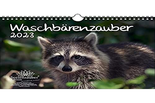 Waschbärenzauber DIN A4 Kalender für 2023 Waschbären - Seelenzauber, mehrfarbig, KN2023-4W-0056-D-0 von Seelenzauber