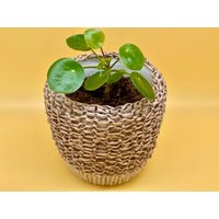 Blumentopf in Taupe, Original Seelness®Design Unikat, Handgefertigt Aus Upcyclingmaterial Und Schurwolle, Übertopf Überraschungs-Geschenk von SeelnessDesign