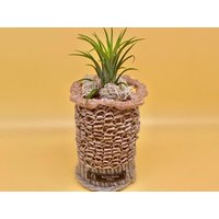 Blumentopf in Taupe, Seelness®Design Unikat, Echte Tillandsie Und Luffa-Dekoration, Handgestrickt, Upcycling Aus Altem Holzkerzenleuchter von SeelnessDesign