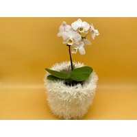 Weisser Blumentopf Handgestrickt, Ordideentopf Aus Wasserspeichernder Wolle, Handgefertigt, Untertopf Wasserdicht in Weiß, 2 Schöne Freebies von SeelnessDesign