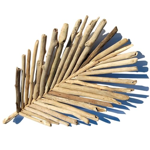 SEESTERN Treibholz Deko Blatt Schale (60 cm) Motiv Wanddeko Driftwood Holzdeko /2350_FBA von Seestern Sportswear