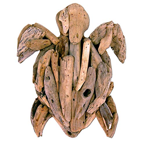 SEESTERN Treibholz Deko m. Schildkröte (30 cm) Motiv Wanddeko Driftwood Holzdeko /FBA_1324 von Seestern Sportswear