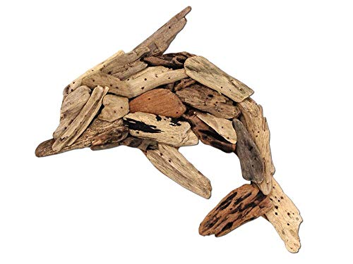 SEESTERN Treibholz Deko mit Delphin (33 cm) Motiv Wanddeko Driftwood Holzdeko /FBA_1323 von Seestern Sportswear