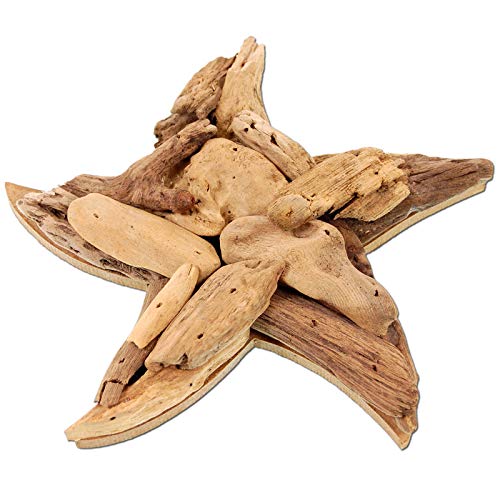SEESTERN Treibholz Deko mit Seestern (20 cm) Motiv Wanddeko Driftwood Holzdeko /1433 von Seestern Sportswear