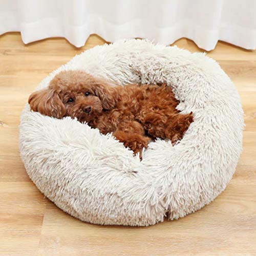 Hundebetten Plüsch Haustierbett Haustier Matte Katzensofa Hunde Kuschelbett Hundesofa Weicher Waschbar Katzenbett,Tierbett Hundebett Katzenbett Schlafplatz Hundesofa Waschbar (50*50*20CM, Beige) von Segle