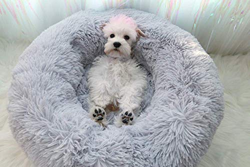 Segle Hundebett,Katzenbett,rutschfeste Unterseite,Runde Form,Weiches Donut-Haustierbett, luxuriöses Fell-Donut-Design,Verschiedene Größen,Flauschig, Weich,Hundekissen,Hundesofa-grau-60 * 60 * 20m von Segle