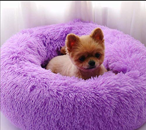 Segle Hundebett,Katzenbett,rutschfeste Unterseite,Runde Form,Weiches Donut-Haustierbett, luxuriöses Fell-Donut-Design,Verschiedene Größen,Flauschig, Weich,Hundekissen,Hundesofa-violett-60 * 60 * 20m von Segle