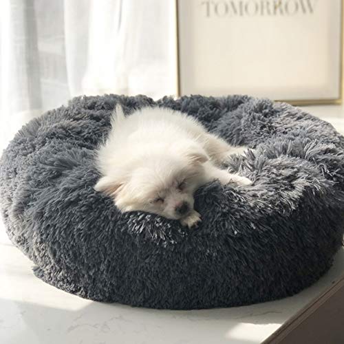 Segle Hundekörbchen Tierbett Hundebett Haustier Katzenbett Hundesofa Katzensofa mit Kissen -Weichem Waschbar Betten für Mittelgroße/Großer Hund-110x110cm-Dunkelgrau von Segle