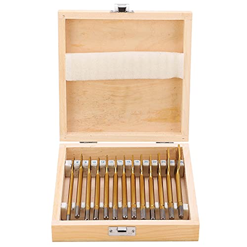 13pcs 1/4in Hex Shank High Carbon Stahl Flachbohrmaschine Bit Set Professionelle Holzbearbeitungsübungen für Elektrohandbuch Bohrmaschine Schnellwechsel Chuck Titan plattiert von Segrehy
