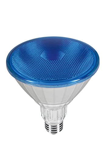 SEGULA LED Reflektor - PAR38 - IP65 - blau - nicht dimmbar - LED Außenbeleuchtung von Segula