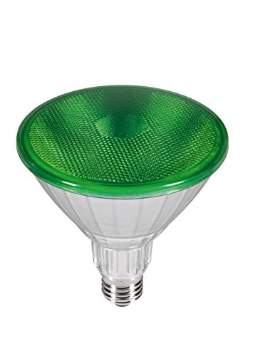 SEGULA LED Reflektor - PAR38 - IP65 - grün - dimmbar - LED Außenbeleuchtung, 50763 von Segula