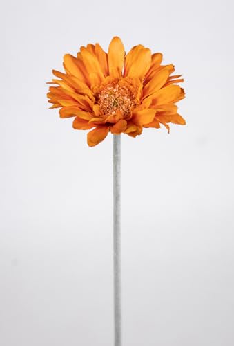 12 Stück Gerbera 46cm OG Kunstblumen künstliche Gerbera Blumen Seidenblumen (Orange) von Seidenblumen Roß