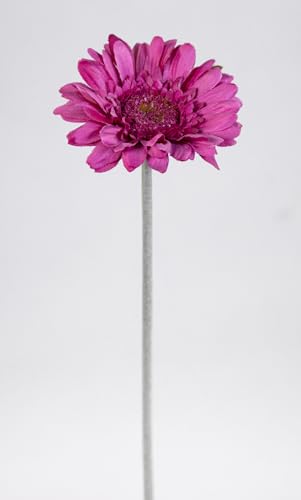 12 Stück Gerbera 46cm OG Kunstblumen künstliche Gerbera Blumen Seidenblumen (Rosa-Pink) von Seidenblumen Roß