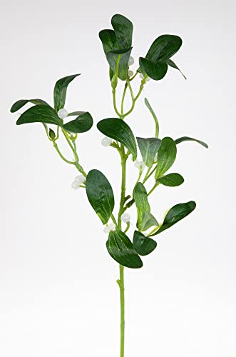 12 Stück - Mistelzweig 38cm PM künstlicher Zweig Mistel Kunstpflanzen Kunstblumen von Seidenblumen Roß