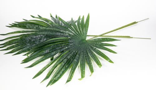 2 Stück Großer Fächerpalmwedel 95x50cm GA künstlicher Palmwedel Palmenblatt Fächerpalme Wedel Fächerpalmblatt von Seidenblumen Roß