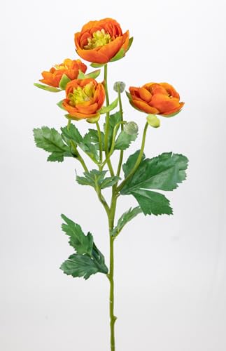 6 Stück Ranunkelzweig 60cm OG Kunstblumen künstliche Ranunkel Hahnenfuß Blumen Seidenblumen (Orange) von Seidenblumen Roß