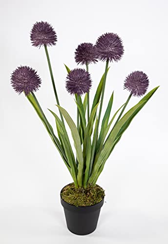 Alliumpflanze 60cm lila im Topf GA Kunstpflanzen Kunstblumen künstliche Pflanzen Blumen Allium von Seidenblumen Roß