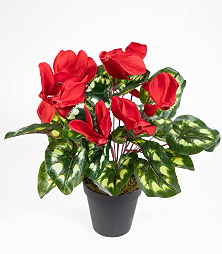 Seidenblumen Roß Alpenveilchen 36cm rot im Topf ZF künstliche Blumen Kunstpflanzen Kunstblumen Cyclamen von Seidenblumen Roß