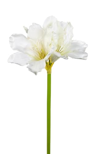 Amaryllis 65cm HB Kunstblumen künstlicher Ritterstern Blumen Pflanzen Dekoblumen (Weiß) von Seidenblumen Roß