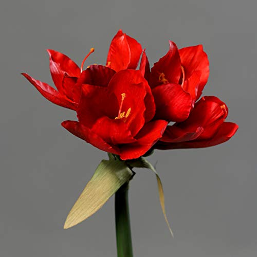 Seidenblumen Roß Amaryllis Real Touch 36cm rot DP Kunstblumen künstliche Blumen Pflanzen von Seidenblumen Roß