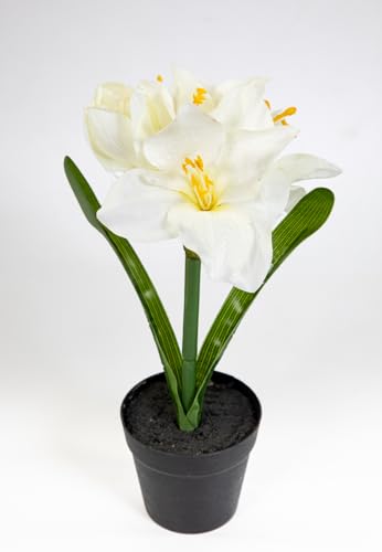 Amaryllis im Topf 32cm JA künstliche Blumen Pflanzen Kunstpflanzen Kunstblumen (Weiß) von Seidenblumen Roß