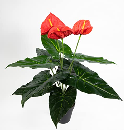 Anthurie Real Touch 50cm rot im Topf ZJ Kunstpflanzen Kunstblumen künstliche Flamingoblume Blumen von Seidenblumen Roß