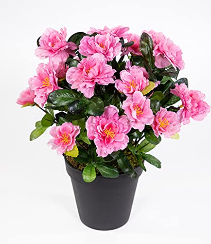 Azalee 34cm pink-weiß im Topf LA Kunstpflanzen künstliche Blumen Kunstblumen 