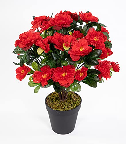 Seidenblumen Roß Azalee 34cm rot im Topf LA Kunstpflanzen Kunstblumen künstliche Blumen Pflanzen Azaleenbusch von Seidenblumen Roß