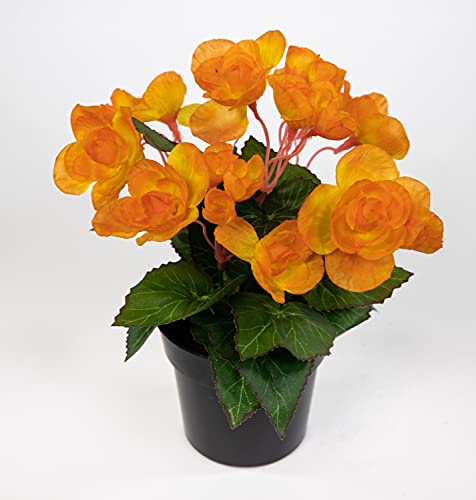Begonie 20cm orange im Topf JA Kunstpflanzen Begonienbusch künstliche Blumen Pflanzen Kunstblumen von Seidenblumen Roß