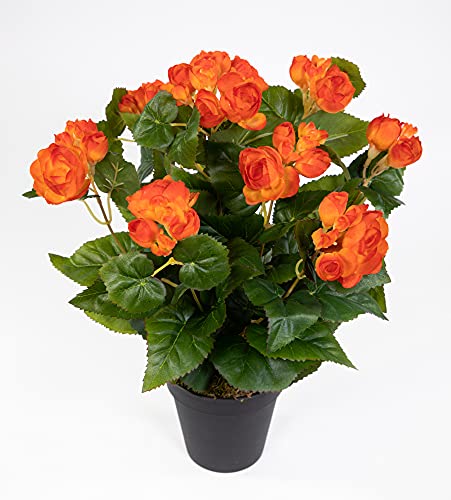 Seidenblumen Roß Begonie 38cm orange im Topf LM Kunstpflanzen Kunstblumen künstliche Blumen Pflanzen Begonienbusch von Seidenblumen Roß