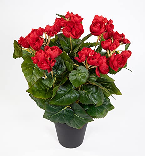 Seidenblumen Roß Begonie 38cm rot im Topf LM Kunstpflanzen Kunstblumen künstliche Blumen Pflanzen Begonienbusch von Seidenblumen Roß