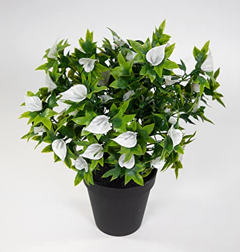 Callabusch/Callapflanze 32cm im Topf JA Kunstblumen künstliche Calla Blumen Pflanzen Blumen (Weiß) von Seidenblumen Roß