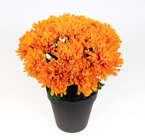 Chrysantheme 30cm orange im Topf DP Kunstpflanzen künstliche Pflanzen Blumen Kunstblumen von Seidenblumen Roß