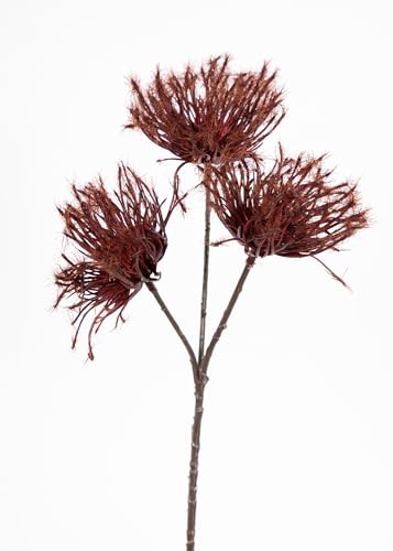 Distelzweig mit 3 Köpfen 36cm GA Künstliche Distel Blumen Zweig Kunstblumen Kunstpflanzen (Bordeaux) von Seidenblumen Roß