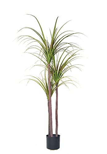 Dracena/Drachenbaum 150cm ZF künstliche Palme Palmen Kunstpalmen Areca Kunstpflanzen Dekopalmen von Seidenblumen Roß