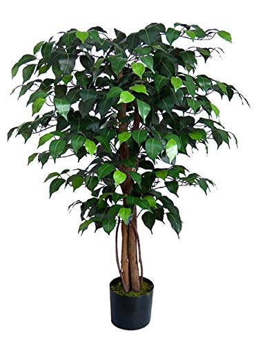 Ficus Benjamini 90cm grün BE künstlicher Baum Pflanze Kunstbaum Dekobaum Kunstpflanzen Zimmerpflanze Birkenfeige von Seidenblumen Roß