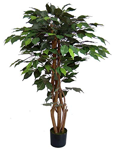 Ficus Excotica 120cm grün DA Kunstbaum Kunstpflanzen künstlicher Baum Dekobaum Birkenfeige von Seidenblumen Roß