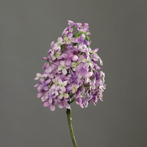 Flieder 78cm DP Kunstblumen Seidenblumen künstlicher Fliederzweig Syringa Zweige Blumen (Lila) von Seidenblumen Roß