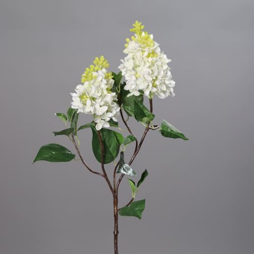 Fliederzweig mit 2 Dolden 90cm DP Kunstblumen Seidenblumen künstlicher Flieder Syringa Zweige Blumen (Weiß) von Seidenblumen Roß