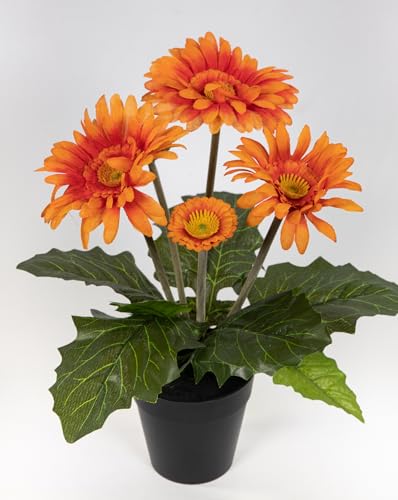 Gerbera 32cm im Topf JA künstliche Pflanzen Gerberapflanze Seidenblumen Kunstblumen Kunstpflanzen (Orange) von Seidenblumen Roß