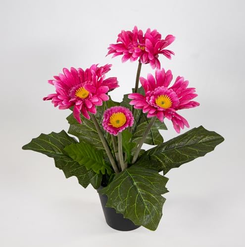 Gerbera 32cm im Topf JA künstliche Pflanzen Gerberapflanze Seidenblumen Kunstblumen Kunstpflanzen (Rosa-PInk) von Seidenblumen Roß