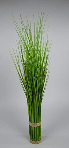 Seidenblumen Roß Grasbund 85cm grün DP Dekogras künstliches Gras Kunstpflanzen Kunstgras künstliche Pflanzen Ziergras Seidenblumen Roß Grasbund 85cm grün DP Dekogras künstliches Gras Kunstpflanzen Kunstgras künstliche Pflanzen Ziergras von Seidenblumen Roß