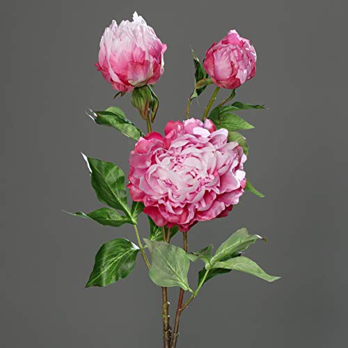 Seidenblumen Roß Große Pfingstrose mit 3 Blüten 82cm rosa-pink DP Kunstblumen künstliche Blumen Päonie von Seidenblumen Roß