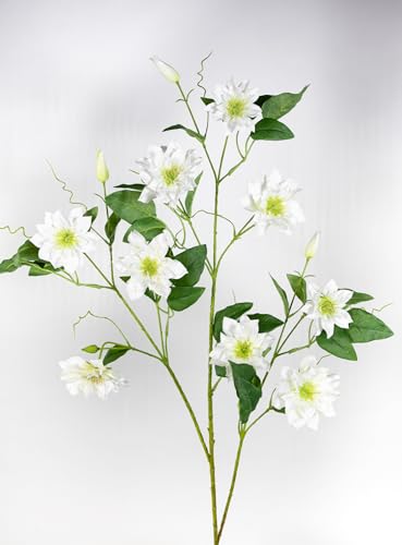 Großer Clematiszweig 115cm GA Kunstblumen künstliche Clematis Waldreben Klematis Blumen Seidenblumen (Weiß) von Seidenblumen Roß