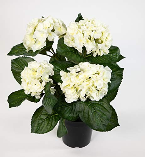 Seidenblumen Roß Hortensienbusch Deluxe 42cm weiß-Creme im Topf LM Kunstpflanzen künstliche Hortensie Pflanzen Blumen von Seidenblumen Roß
