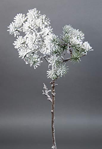 Seidenblumen Roß Japanischer Pinienzweig mit Schnee 60cm JA Kunstzweig künstlicher Tannenzweig künstliche Pinie Tanne von Seidenblumen Roß