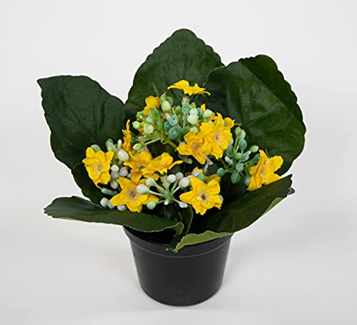 Seidenblumen Roß Kalanchoe 12cm gelb im Topf JA Kunstblumen künstliche Blumen Pflanzen Kunstpflanzen von Seidenblumen Roß