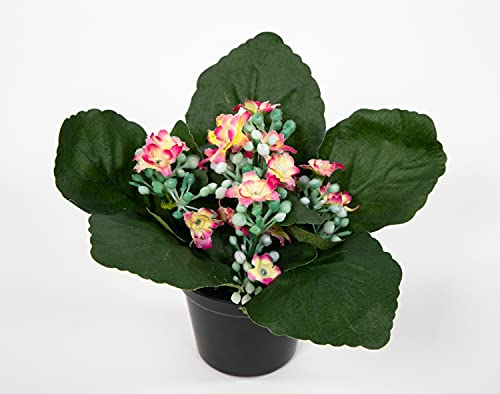 Seidenblumen Roß Kalanchoe 12cm rosa-pink im Topf JA Kunstblumen künstliche Blumen Pflanzen Kunstpflanzen von Seidenblumen Roß