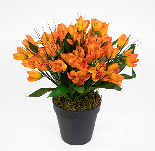 Seidenblumen Roß Krokusbusch 28cm orange im Topf PM Kunstpflanzen Kunstblumen künstlicher Crocus Krokus Blumen von Seidenblumen Roß